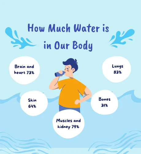 Body water percentage calculator preview with typical ranges and TBW