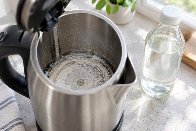 How to Descale a Kettle: What 7 Kettle Makers Say
